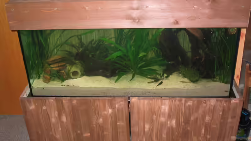 Holzverkleidung selbst gemacht (noch mit alter Einrichtung) von Sebastian Sander (2)