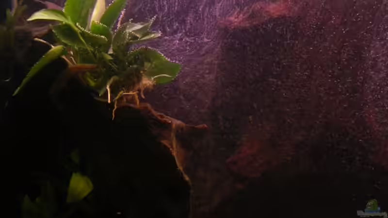 Holzzz :D von Jan Meents (11)