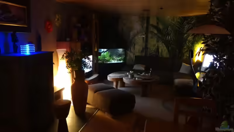 home sweet home :o)  von mcfly (23)