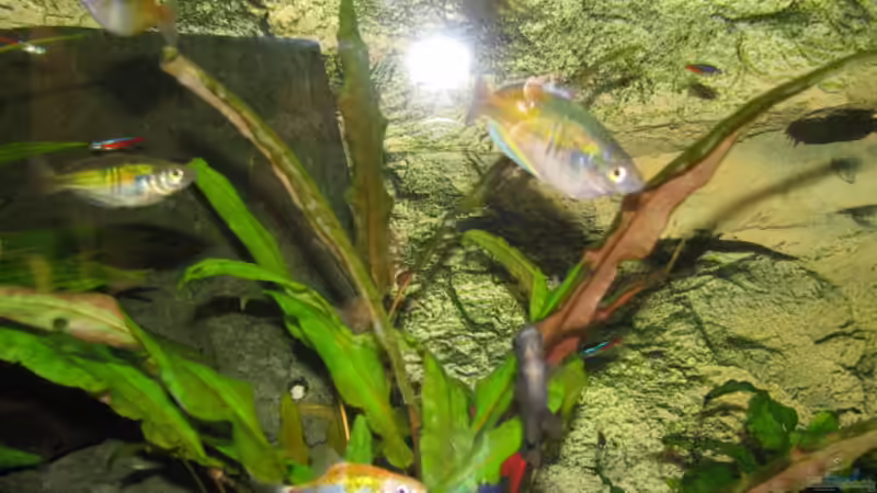 Honda vfr 2006 von Sebastian Kettner (1)