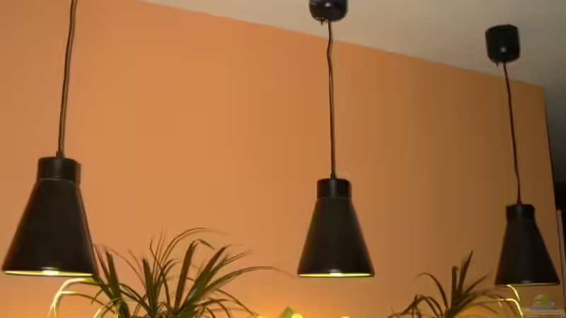 HQI-Lampen von Thomas Kowollik (10)