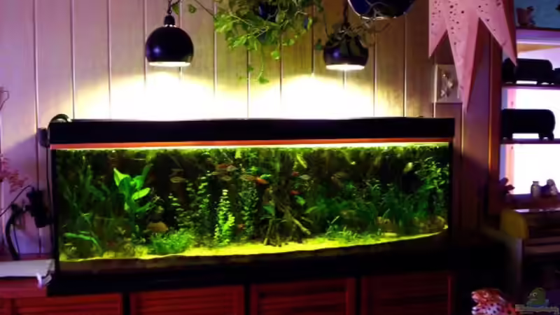 HQL Hängelampen von Elena Haller (8)