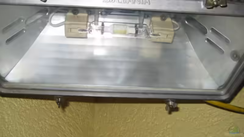 HQL oder HQI durch LED-Lampen ersetzen - Lohnt sich der Umstieg für dein Aquarium?