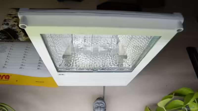 HQL oder HQI durch LED-Lampen ersetzen - Lohnt sich der Umstieg für dein Aquarium?