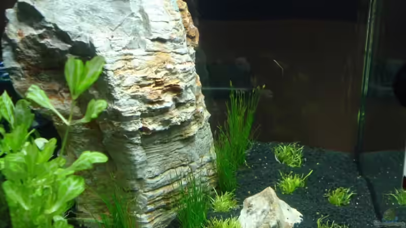 huch Text vergessen! von David Weidenbacher (5)