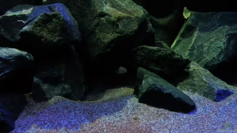 Huhuuuu 22.12.12 von bossie1704 (50)