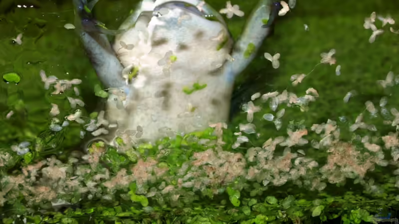 Hunger!!! von JR (9)