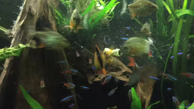 Hunger! von Marius Stößer (100)