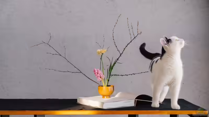 Hyazinthen in der Vase: Nicht für jede Nase geeignet