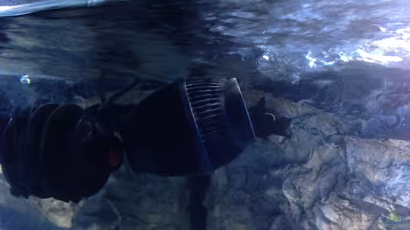 Hydor Koralia Evolution 5200 von Chimme (28)