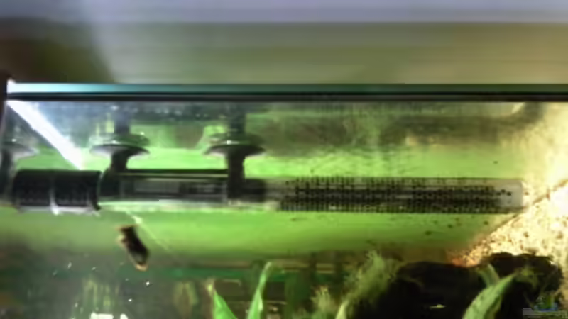 Hydor Regelheizer 150 Watt,rechte Seite Rückwand von mikael38 (22)