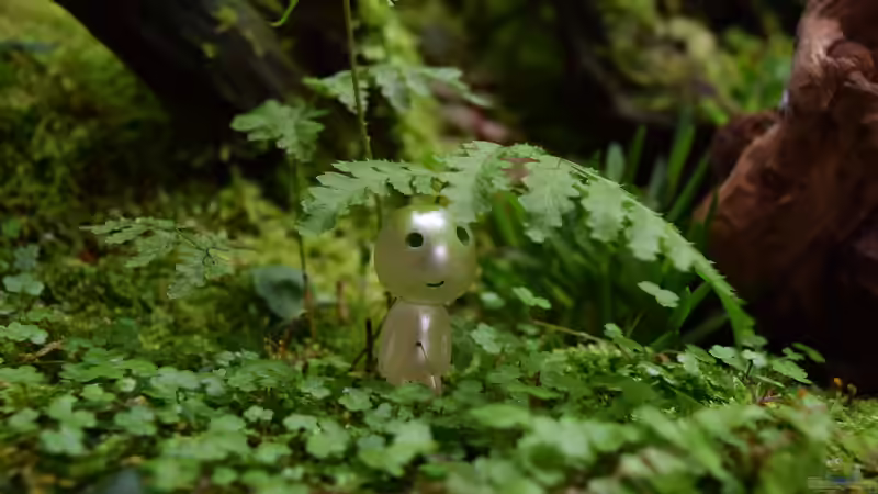 Hydrocotyle verticillata Mini von Junglist (10)