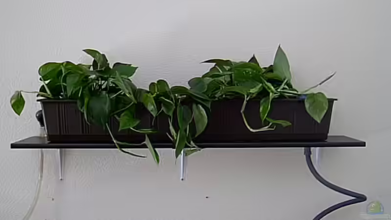 Hydrofilter von Steffen Langer (9)