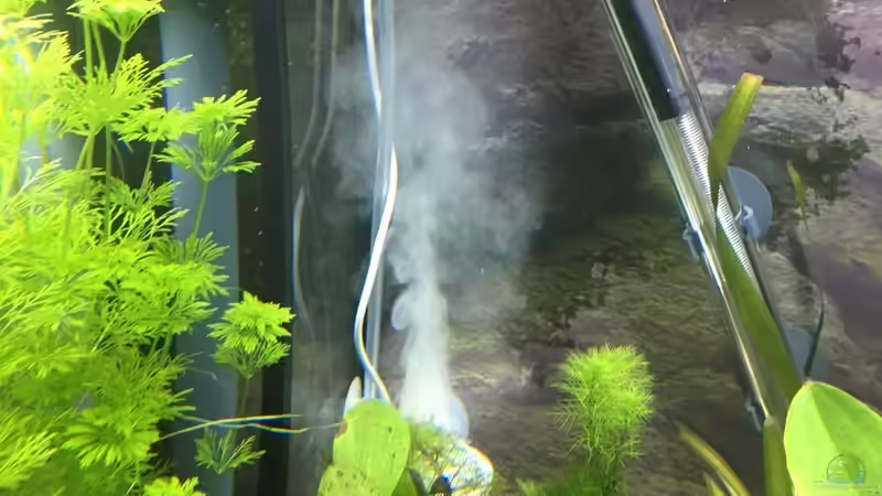 Hydrolyseeinheit bei der Arbeit von stroelly (33)