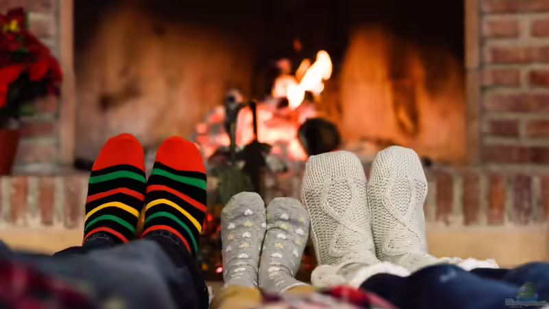 Hygge für Zuhause und Garten: Wie du mit Gemütlichkeit, Natur und einfachen Ritualen deinen Lebensraum verwandelst