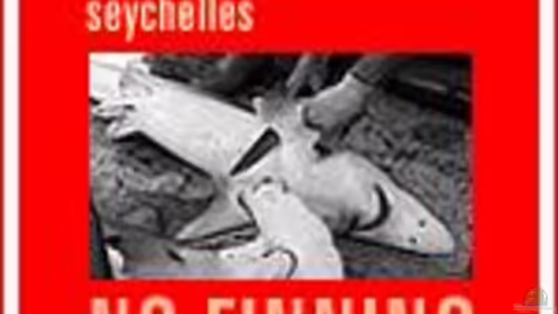 Ich bin dabei!! -- und Du?? siehe Blog ~~ Malawigo ~~ von Chris_R. (23)