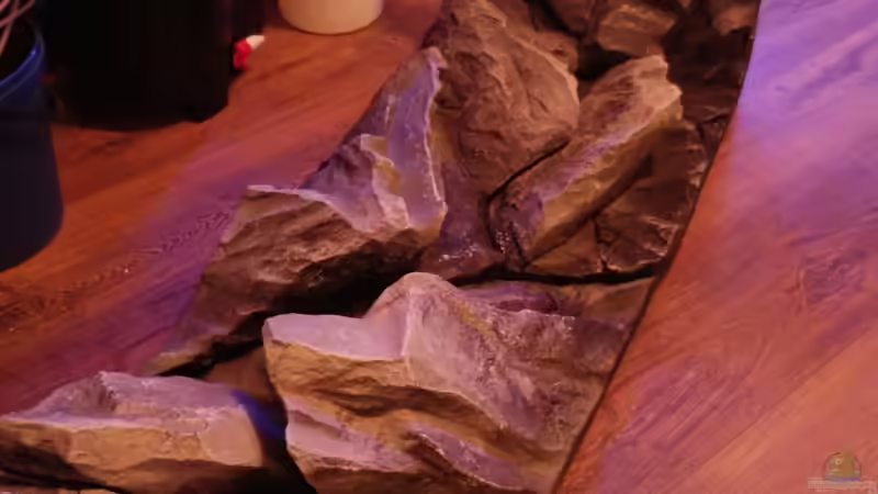 ich bin einfach begeistert von Mirko Zeisse (6)