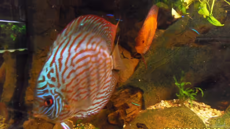 ich bin größer von Ulrich Sauerhering (31)