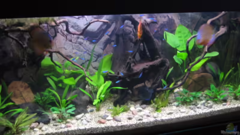 Ich finds toll:-) von Marie-Christin (1)