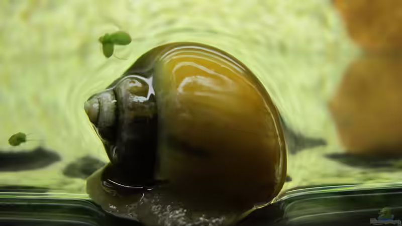 Ich geh dann mal an die frische Luft von Locke1992 (18)