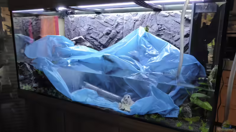 Ich habe ca. 50% mit Leitungswasser aufgefüllt und den Rest dann mit Wasser aus von AchimSaar (45)