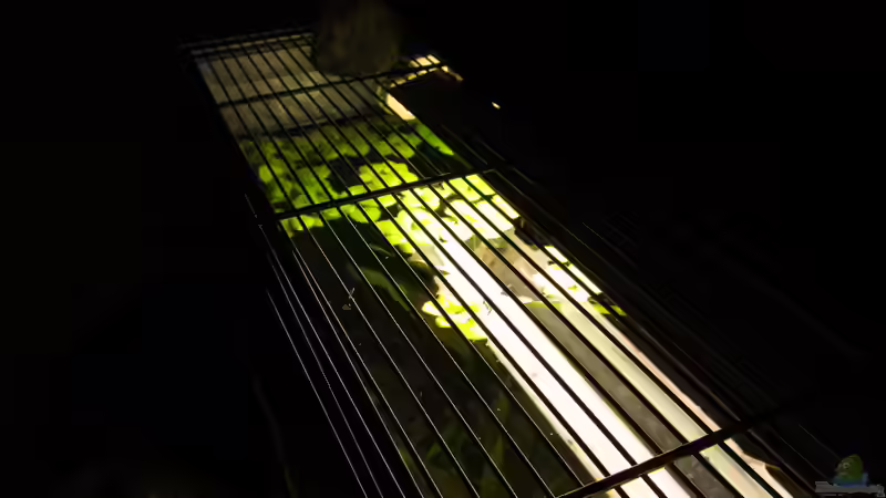 Ich habe eine Hälfte der Abdeckung entfernt, damit die warme Luft hinaus kann. Dadurch von Der Bergzower (13)