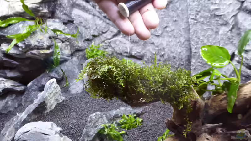 Ich habe mich für einen Kunststofffaden entschieden von AchimSaar (38)