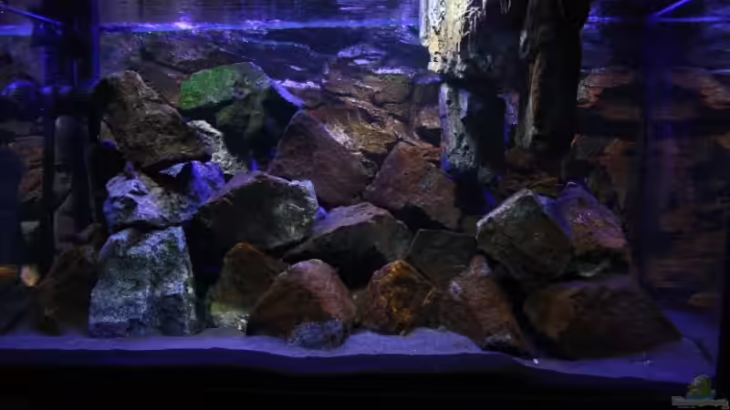 Ich lasse auch hier mal das Bild sprechen ! von Florian Bandhauer (33)