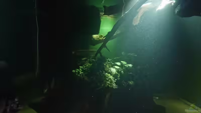 ich liebe diese Lichteffekte von kellerkind (4)