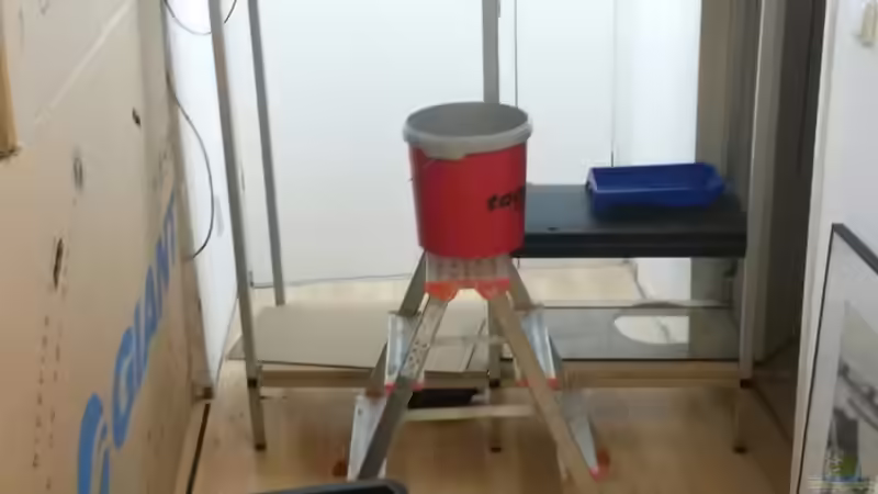 Ich richte mein Beispiel ein von Beulenkopftyp (17)