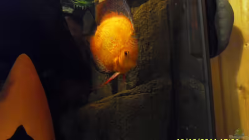 ich wachse noch von Ulrich Sauerhering (32)