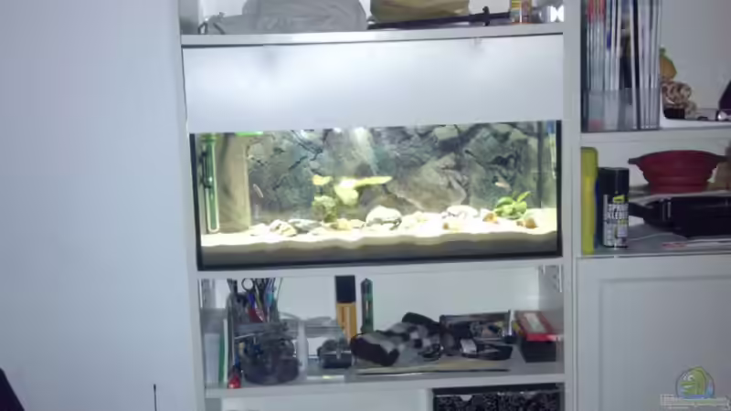 IKEA Billy Regal Aquarium von Talorin (1)