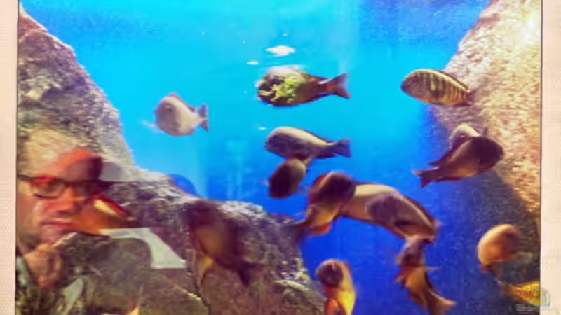 Ilangis von Simmal (27)