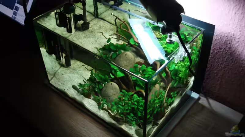 im 2.Monat von cantiga (7)