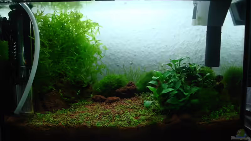 im 7. Monat von cantiga (5)