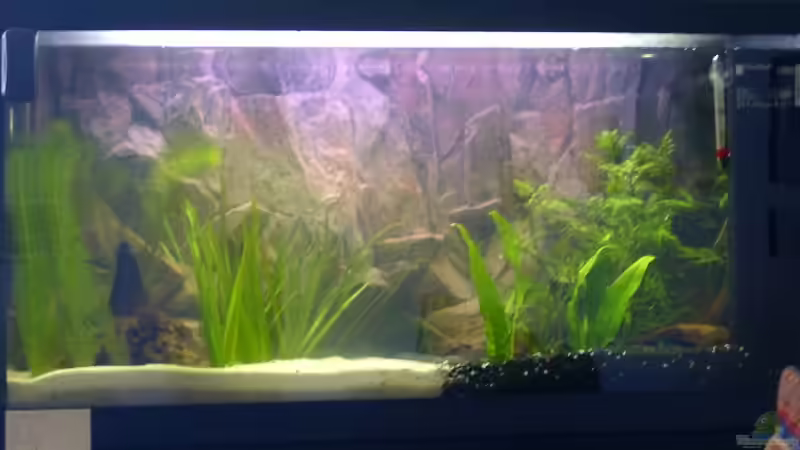 im Anfangsstadium mit recht wenig Bepflanzung von NilsH86 (3)