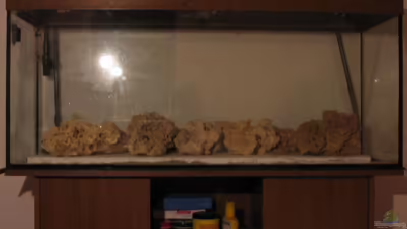 Im Aufbau... von Deutschmaschine (2)