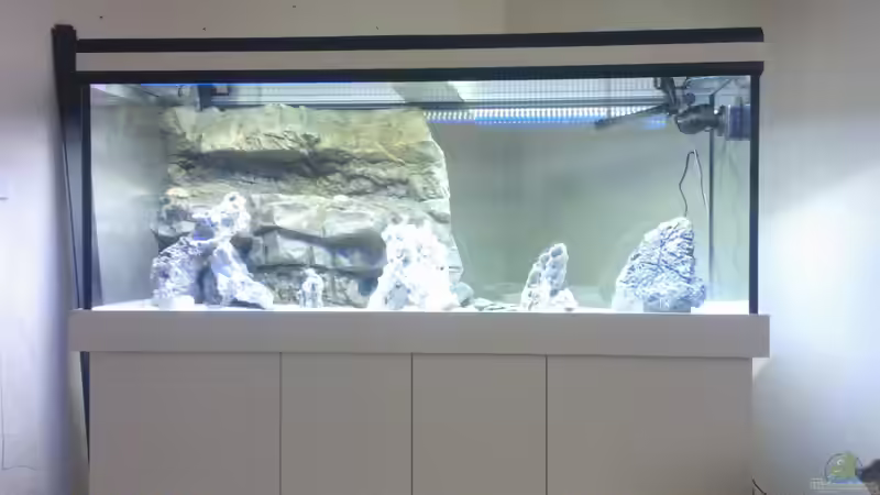 im aufbau  von eisbrecher (2)