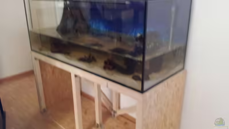 im Aufbau von Gass (2)