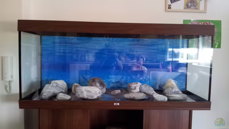 Im Aufbau von Marcus_mck (2)