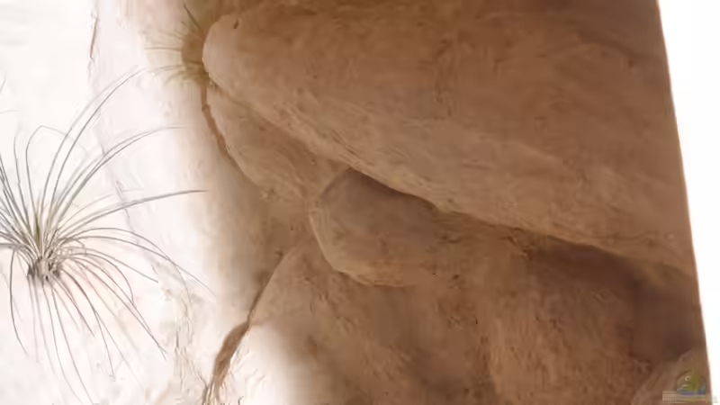 Im Bau von Marcel Stübs (4)