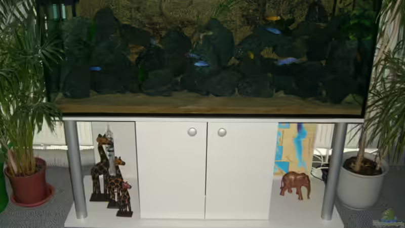 im dunkeln..... von Christian Dornieden (2)