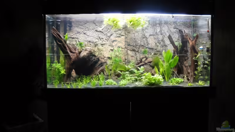 Im dunkeln is gut munkeln von Fischkopp83 (5)