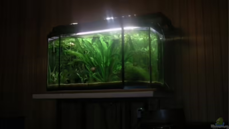 Im Dunkeln ist gut...