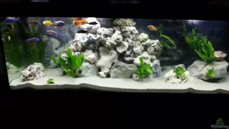 Im Dunklem Zimmer von KaZe (4)