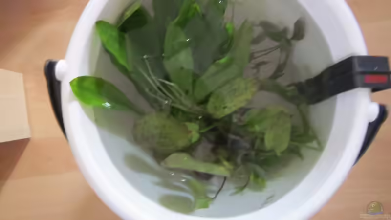 im Eimer von A. Twele (11)