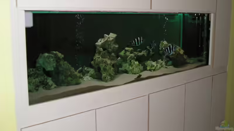 im Esszimmer von Mario Jähne (2)