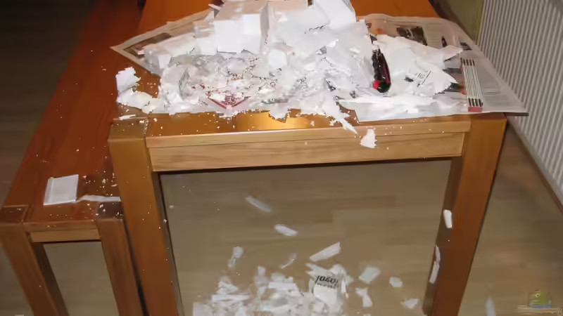 Im Esszimmer war keine gute Idee von HessiJames (5)