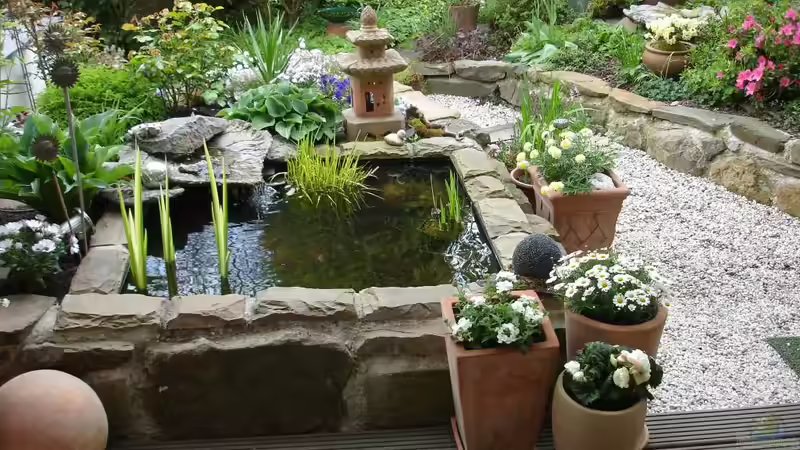 im Frühjahr von Grünhexe (12)