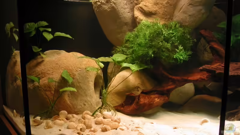 Im großen Stein links ist die Strömungspumpe von Martin Eberhardt (13)